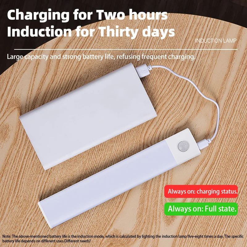 Motion Sensor LED Cabinet Light USB Rechargeable